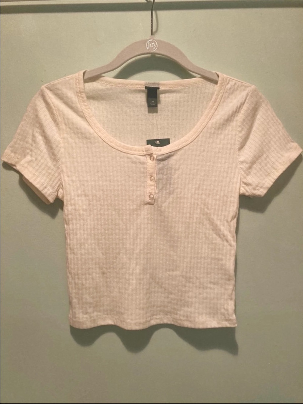 Wild Fable Crop Top